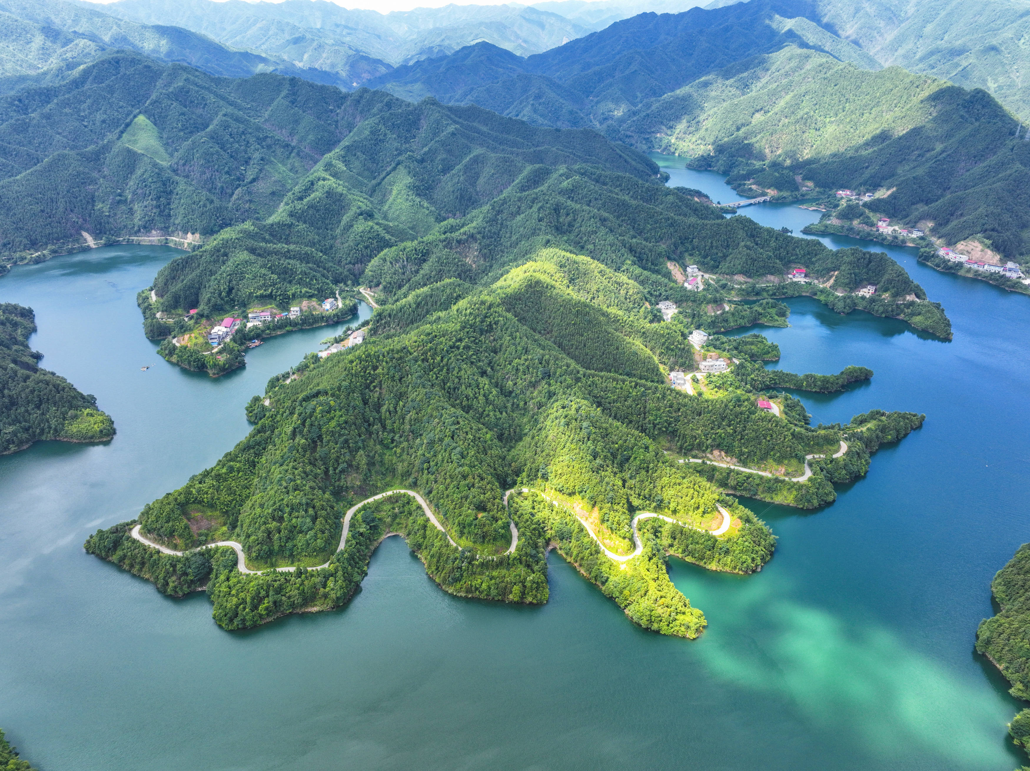 守护绿水青山    共筑生态家园