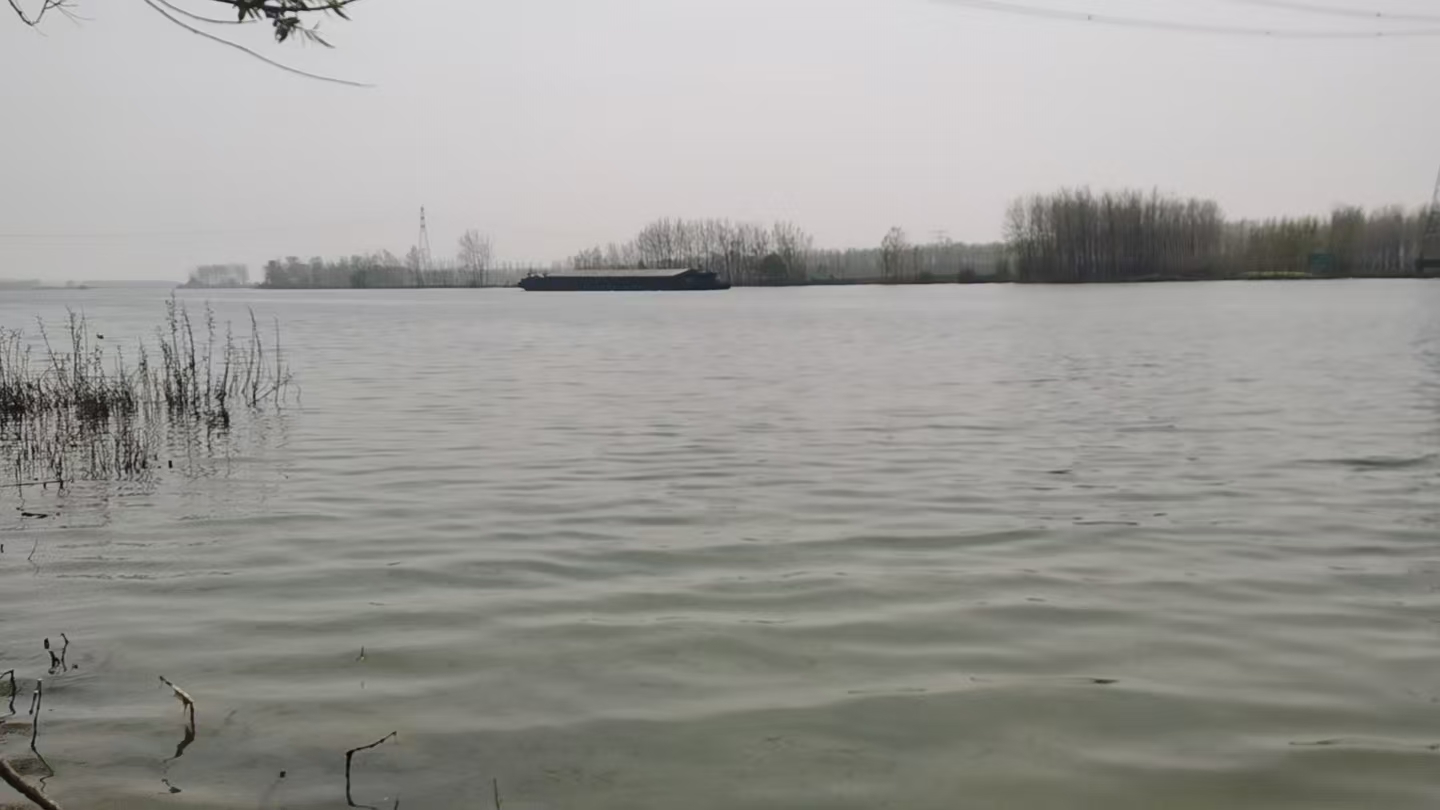 清缘放生2026年4月2日活动汇报