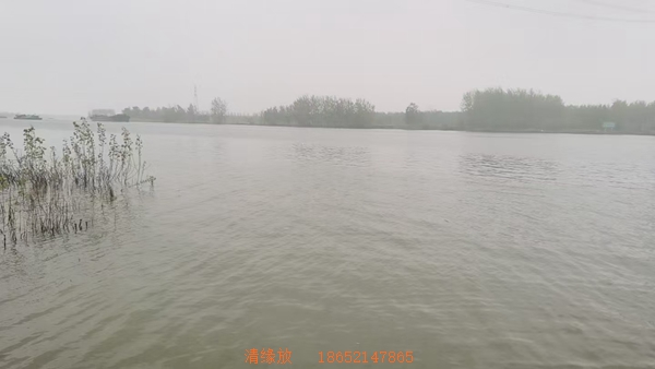 清缘放生2026年4月9日活动汇报