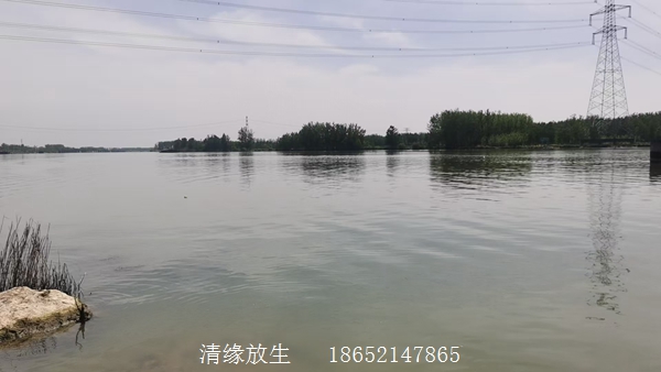 微信图片_20260423151910_28_3.jpg